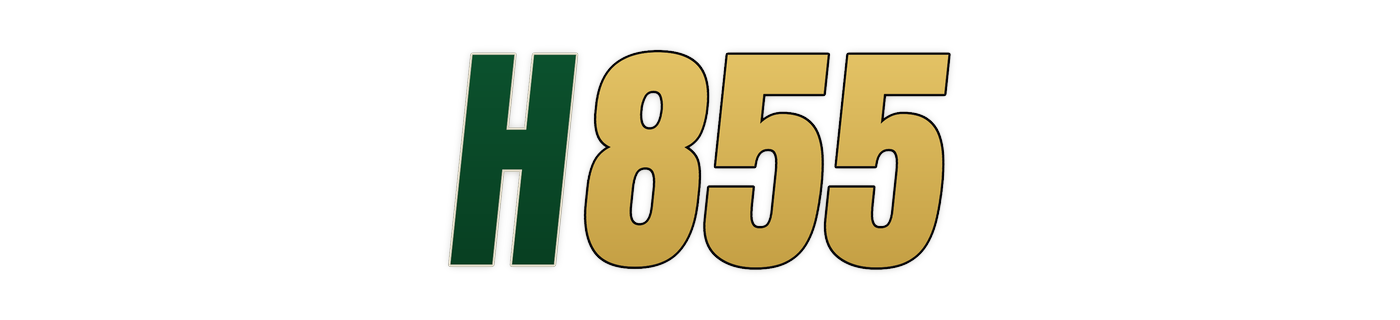 h855 লোগো